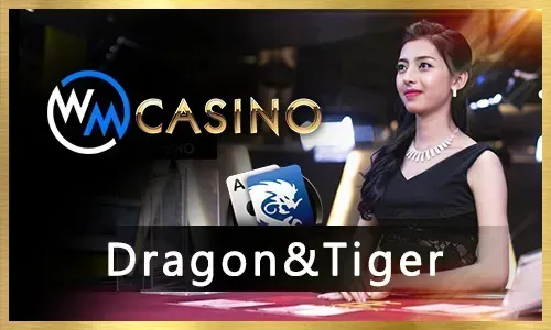 Daily Cashback Rewards